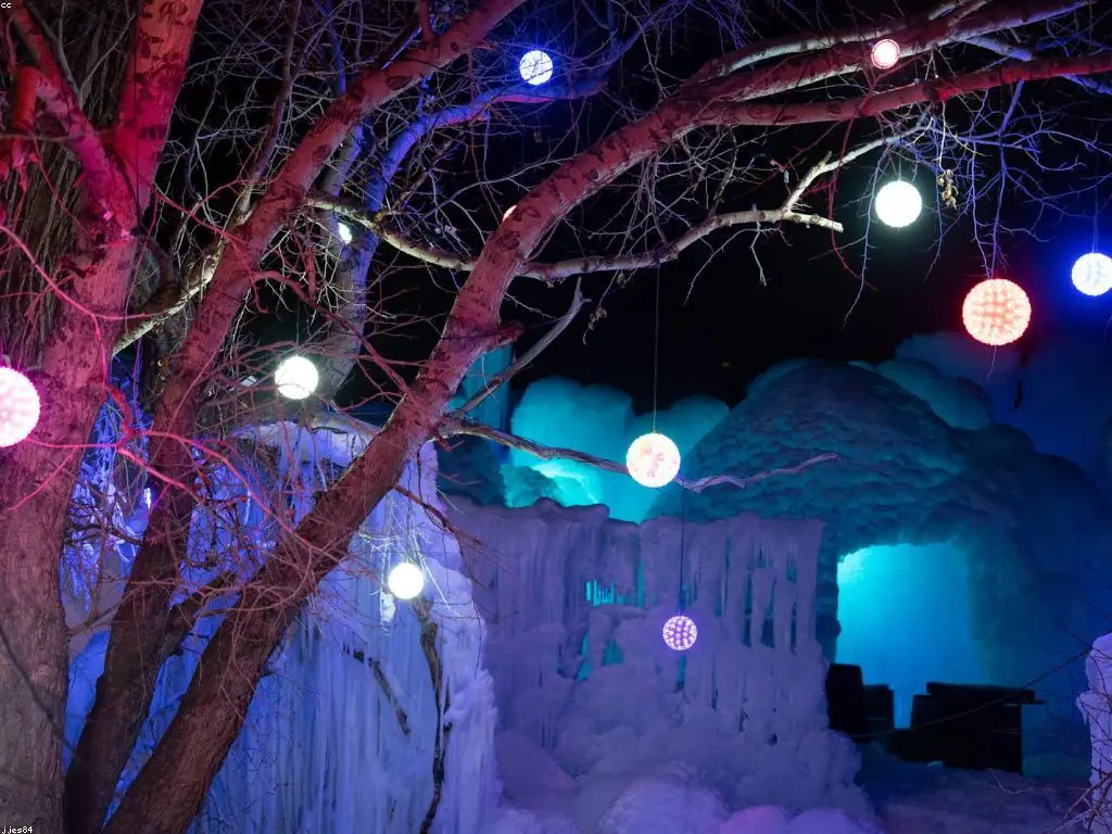 Adobe Firefly 최신 업데이트! ‘이거 물건이다’ AI 디자인 툴 추천