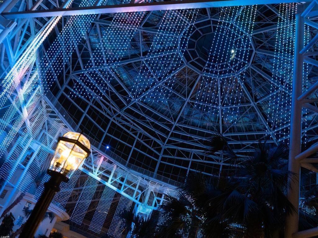 AI 기반 의료 혁신 가속화: 금주의 주요 업데이트 7가지